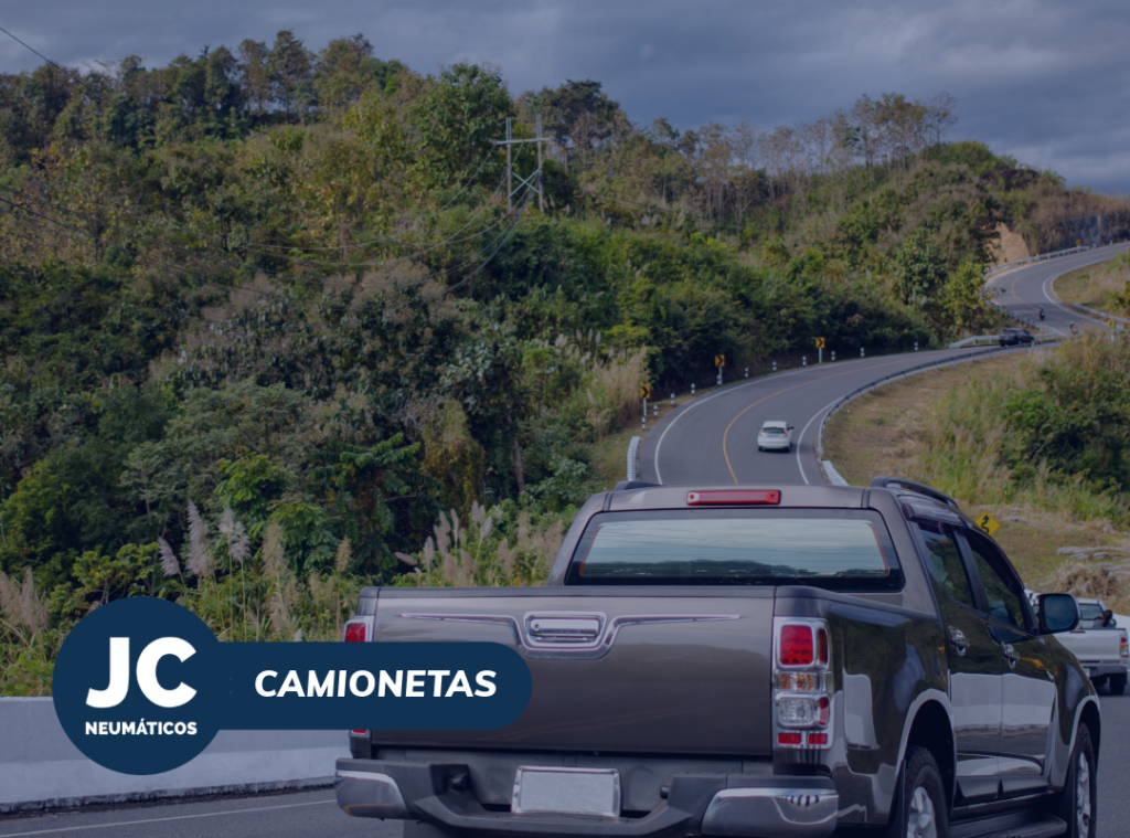 neumaticos para camionetas